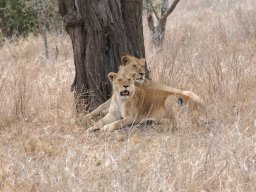 Western_Corridor2009-116